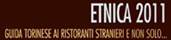 logo Torinosette